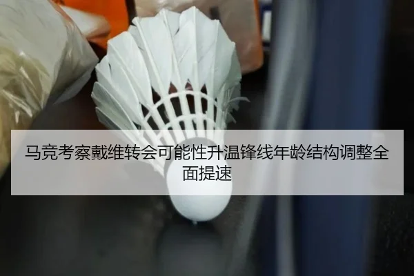 马竞考察戴维转会可能性升温锋线年龄结构调整全面提速