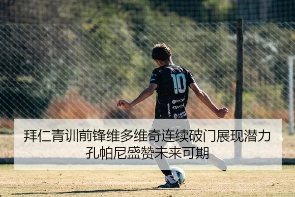 拜仁青训前锋维多维奇连续破门展现潜力孔帕尼盛赞未来可期